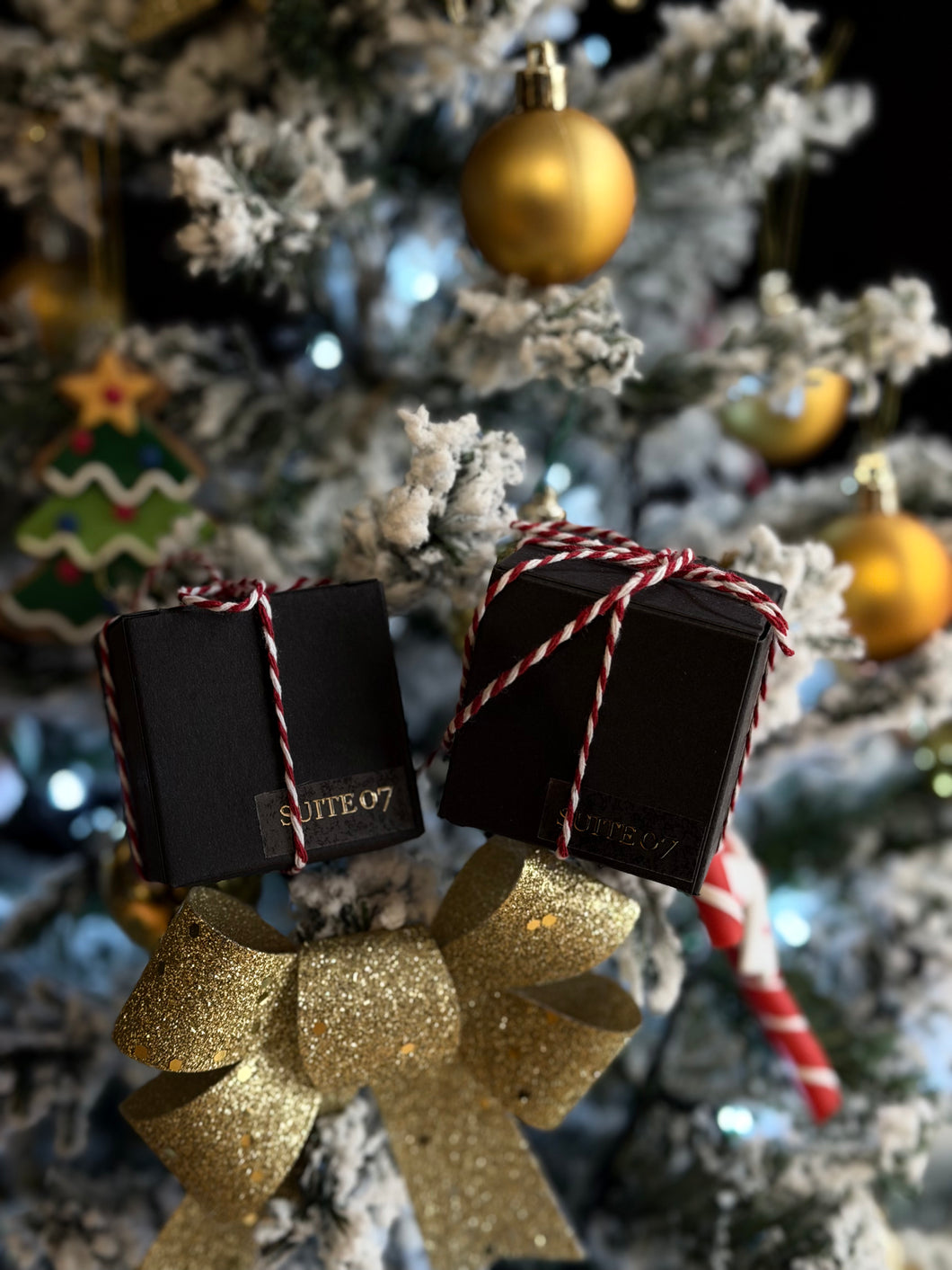 MYSTERY BOX SUITE 07